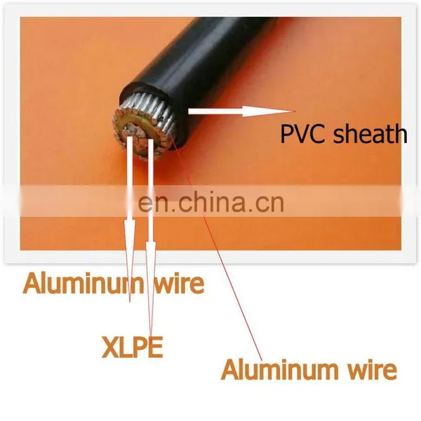 China Best Price BS7870 PVC Concentric Cable photo-2
