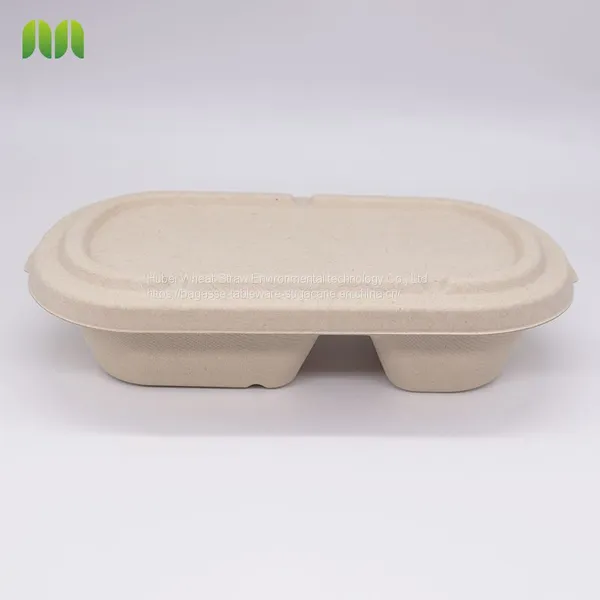 Sugarcane Bagasse Take Out Food Container 2 Compartment Oval Bgasse Bowl With Lid photo-4