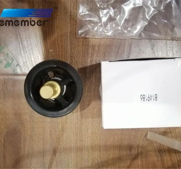 OE Member 504096443 Truck Cooling Parts 86 Degree Centigrade Thermostat 1665694 8149186 2.15071 For Iveco For Scania For Volvo photo-4