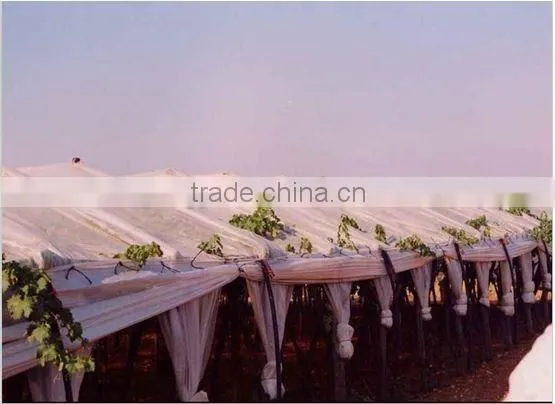 EVA added new greenhouse film 3 layer PO and PEVA film