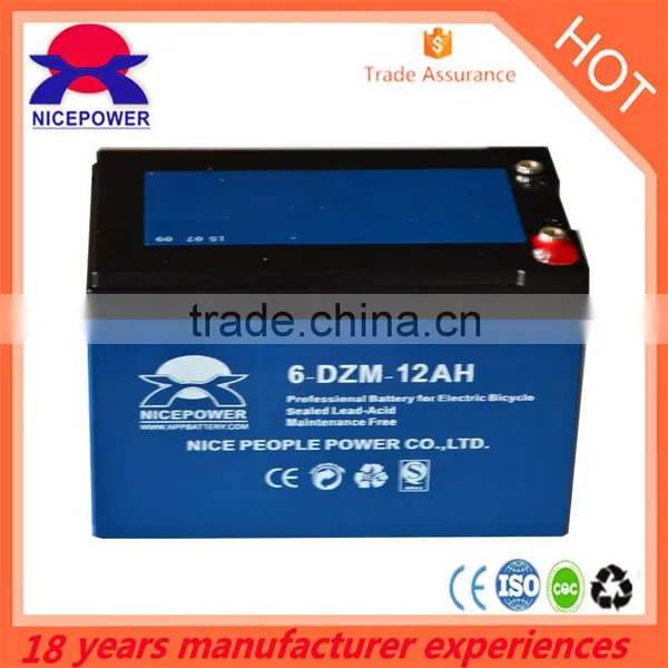 Vietnam E-bike Battery Factory 12v20ah E-bike Battery Sealed Lead Acid Battery
