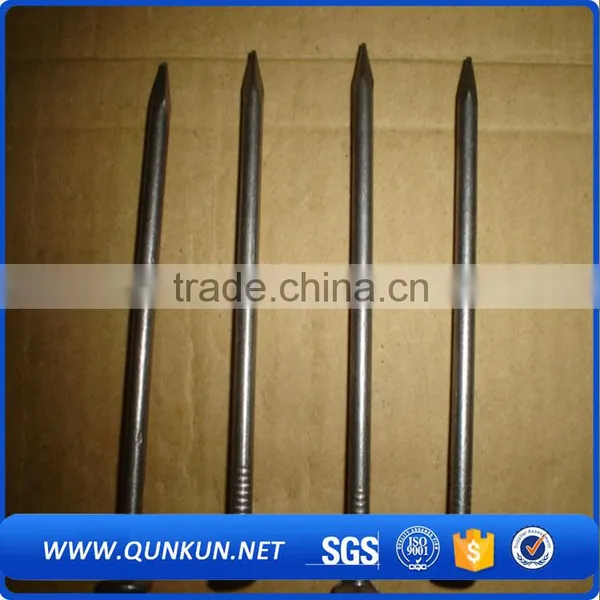 Six Inch Low Price Common Nails (direct Factory) photo-5