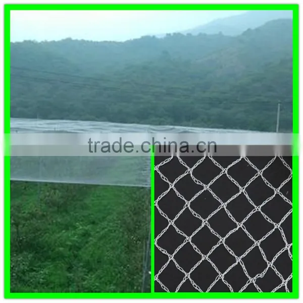 Anti Bird Net for Shrimp Pond Cover/bird Mist Netting photo-3