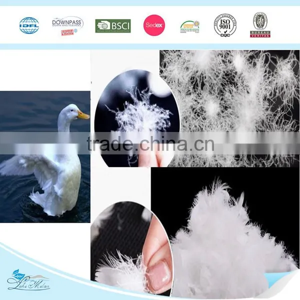 Goose Feather & Down