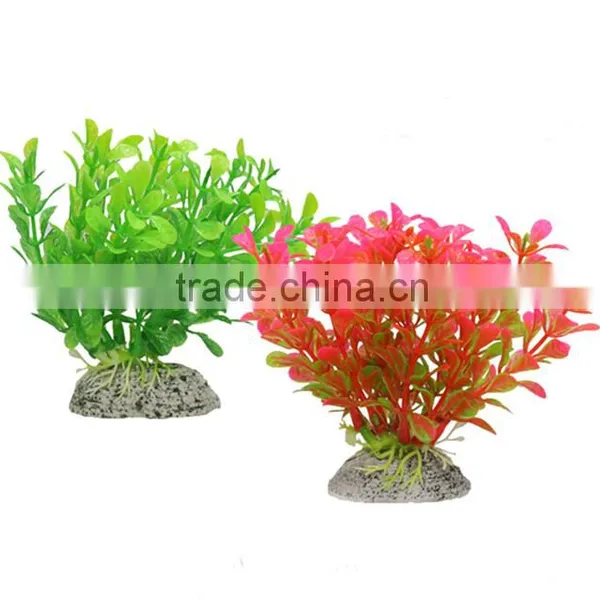 Colorful Aquairum Mini Plant photo-4