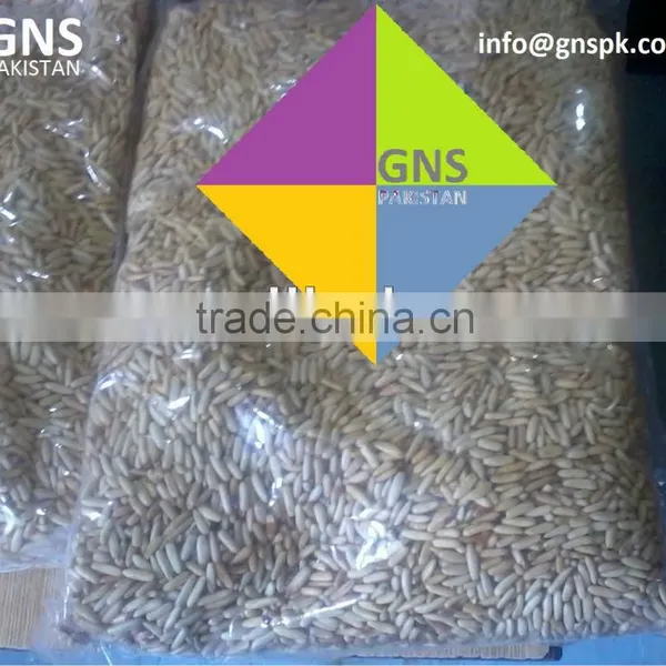 Pine Nuts Kernels : Pakistan Origin