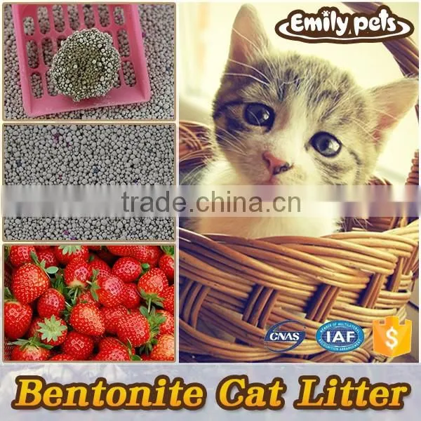 Best Absorption Bentonite Cat Litter photo-5