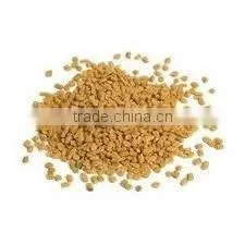 Fresh Methi Extract (Herbal Extract)