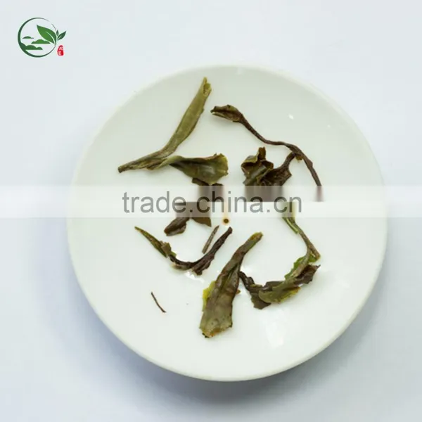 2016 Fresh Best White Tea Brands White Tea Price photo-3