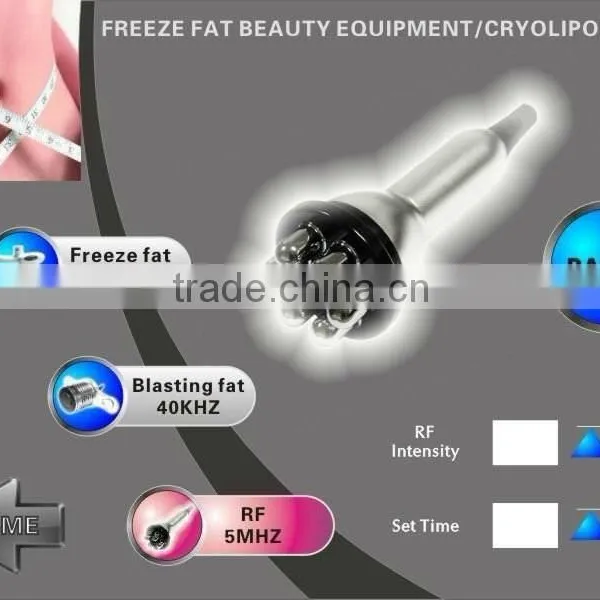 WS-30B Cool Tech Fat Freezing Machine photo-5