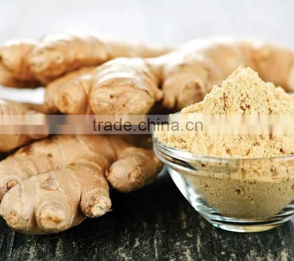 FRESH GINGER AND DRIED GINGER VIETNAM PACKING IN MESH BAG OR CARTON photo-4