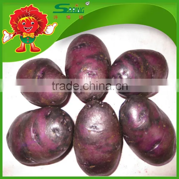 Sweet Purple Potato