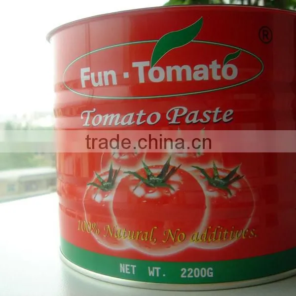 Canned Tomato Paste of Brix 28-30% photo-5