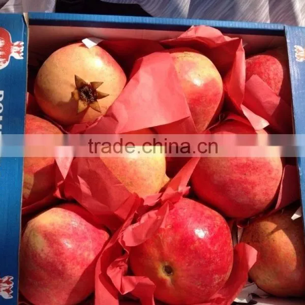 Common Cultivation Type of Pomegranate photo-3