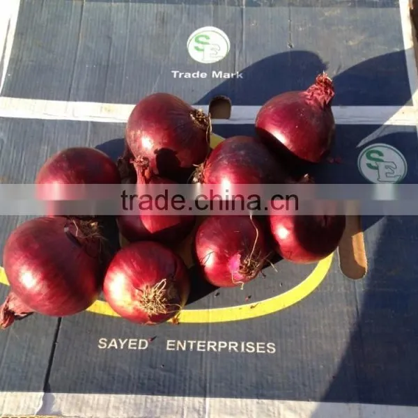 Get New Crop Of Onions photo-3