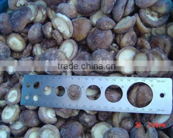 Whole IQF Shiitake Mushroom China Origin photo-3