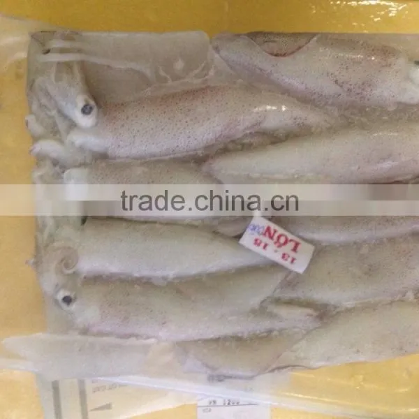 FROZEN SQUIDS