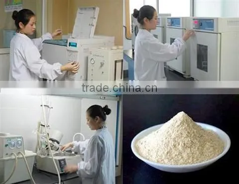 Wheat Gluten Meal for Animal Feed photo-3