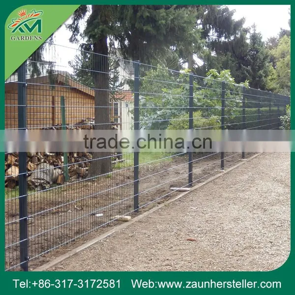 Get $1000 Coupon Powder Coated Double Wire Fence photo-5