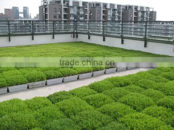 SOL 2015 Good Quality Living Green Planter pp Material Material Plant Pot Rooftop Planters photo-4