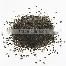 Nigella Sativa Extract photo-4