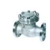 Check Valve-Swing Type