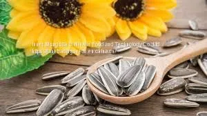 Sunflower Seeds on Hot Sale photo-2