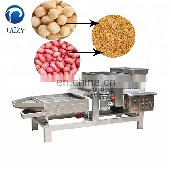 Taizy Large Capacitycashewpeanut Almond Chop Crushing Betelnutcuttingmachine photo-2
