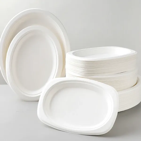 Disposable Bagasse Tableware 9 Inch Plate 500pcs per Box Free Samples