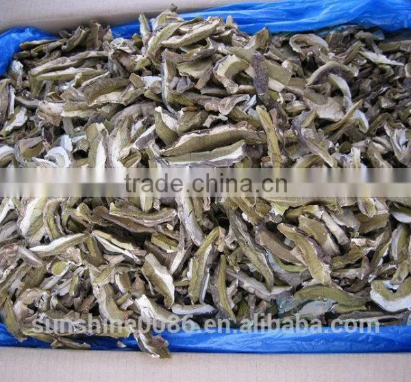 Dried Boletus Mushroom photo-6