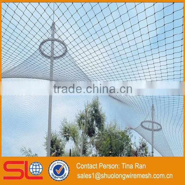 ISO Manufactory Provide Fast Delivery Time Stainless Steel Mesh Aviary Mesh photo-3