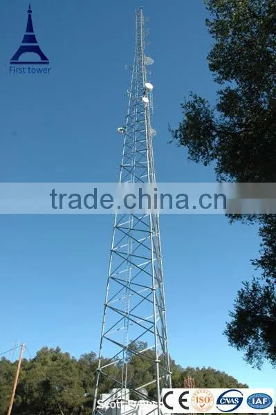 Self Supporting Lattice Tower for Microwave Signal photo-2