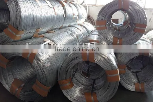Hot Dipped Galvanized Wire photo-6