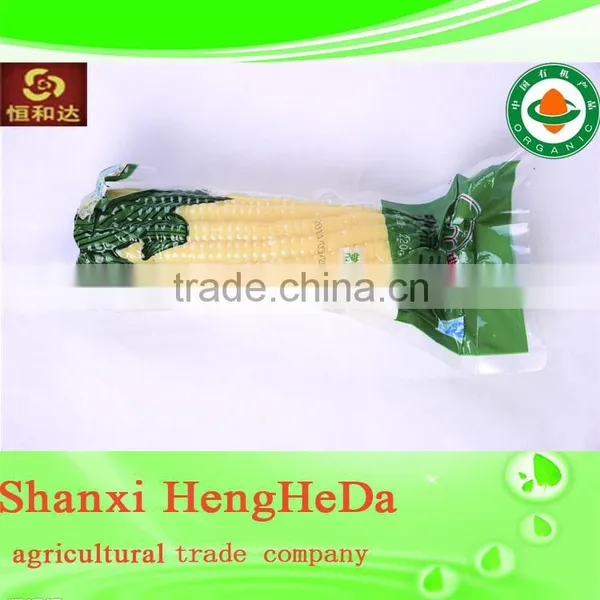 in Russian Canned Sweet Corn Wholesale photo-2