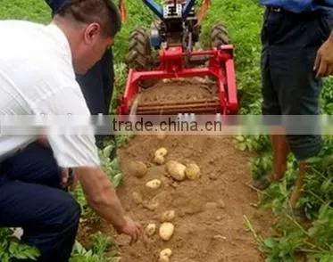 High Quality Tractor Gear Potato Harvester photo-3