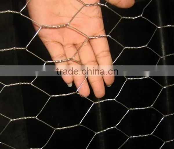 1" Galvanized Hexagonal Wire Mesh,Chicken Wire Mesh(factory) photo-3