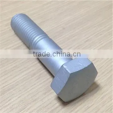 High Quality Hot Dip Galvanized Bolt & Nut photo-2
