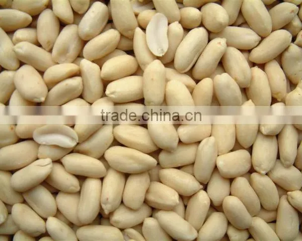 Blanched Peanut photo-2
