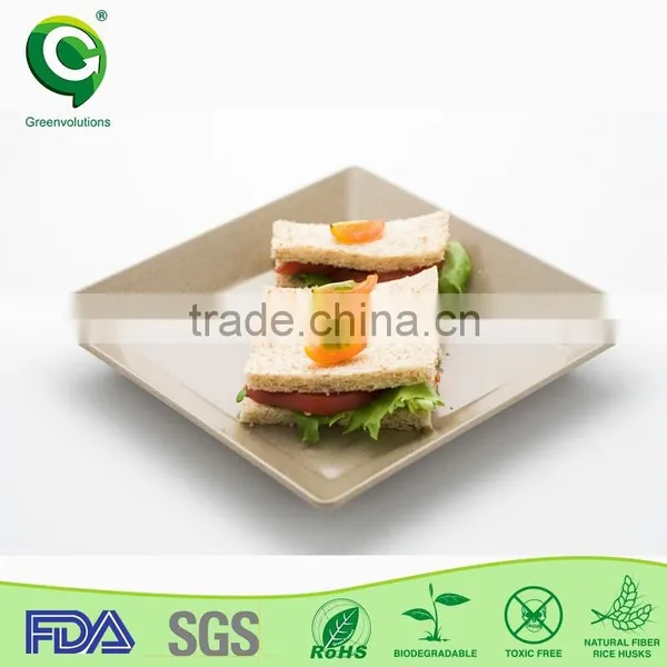 Healthy Cheap Restaurant Dinner Plate photo-5