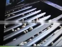 Orange Sorting Machine/onion Grading Machine/tomato Sorter photo-2