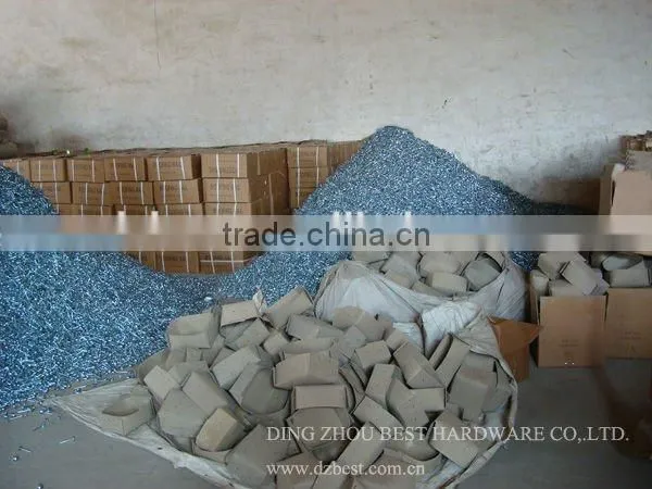 Galvanized Roofing Nail With Umbrella Head From DINGZHOU BEST HARDWARE CO.,LTD photo-6