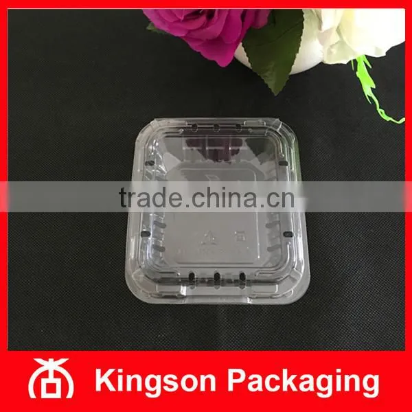 Disposable Clear Fruit Punnet