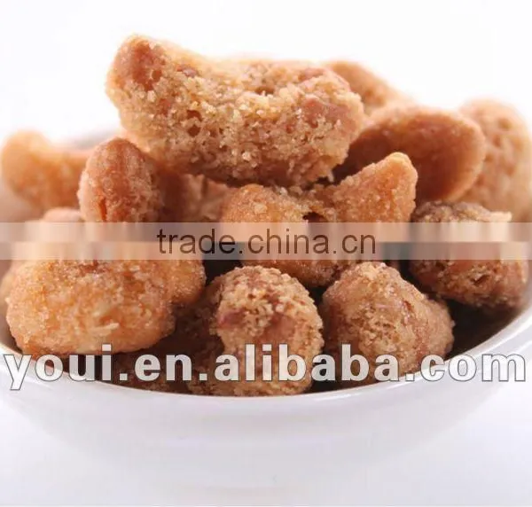 Coconut Roasted Cashew Nut Healthy Nut Snacks Food photo-6