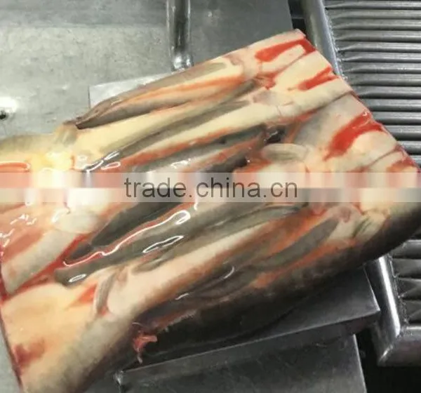 Frozen Fish Seafood Good Quality Cat Fish photo-2