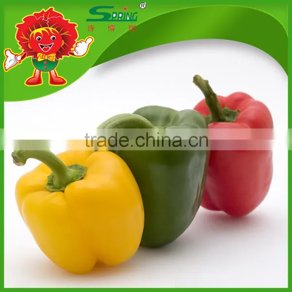 High Quality Yellow Bell Pepper Colorful Pepper on Sale photo-2