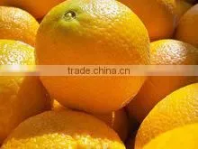 FRESH ORANGES