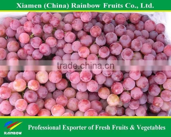 Fresh Yunnan Red Globe Grape With Good Taste Grapes Peru Seedless Grapes photo-6