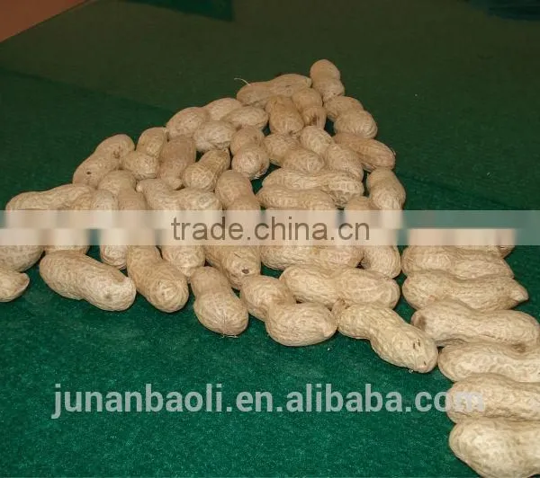2015 New Crop Peanut Inshell