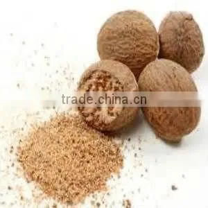 Nutmeg Seeds Without Shell Indian photo-4