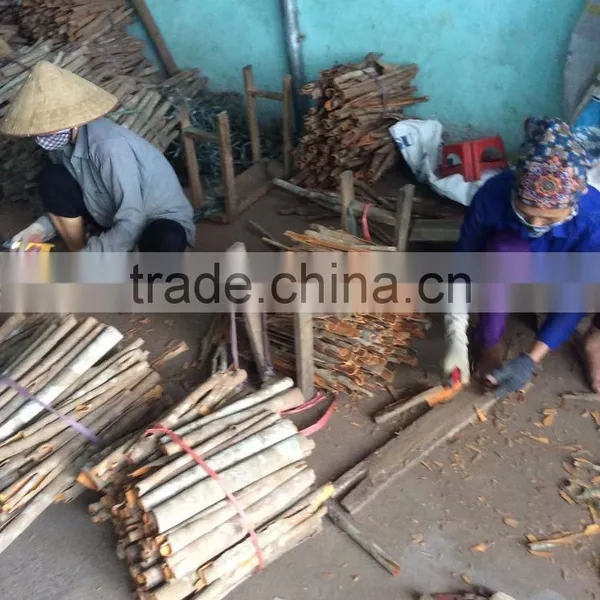 VIETNAM CASSIA POWDER photo-5